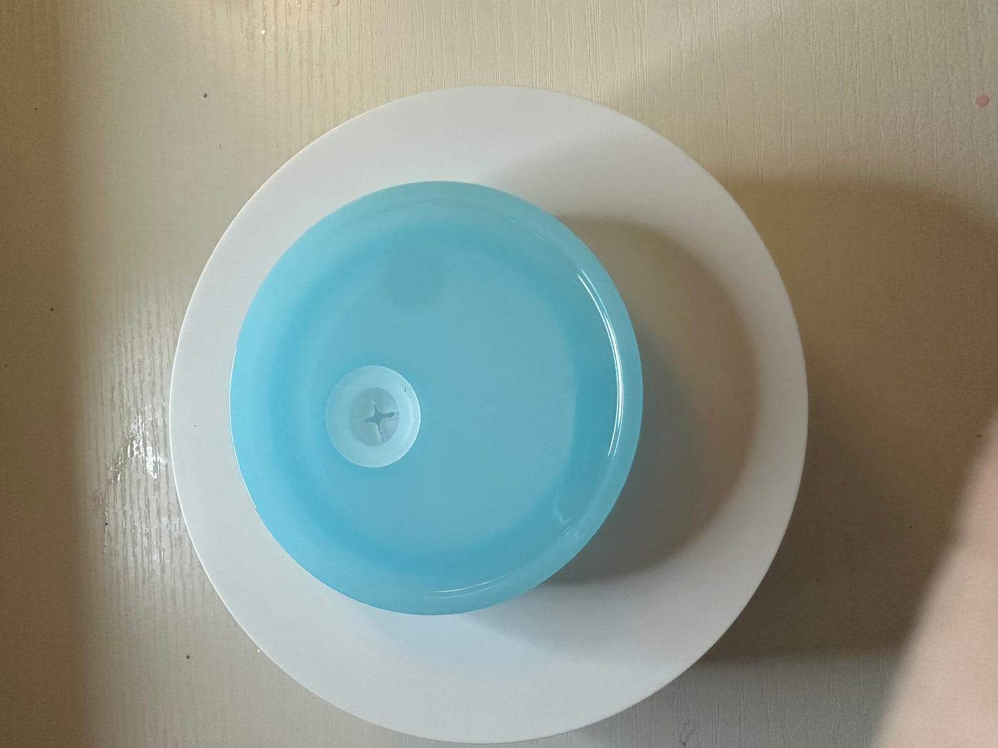 16oz colored jelly lid