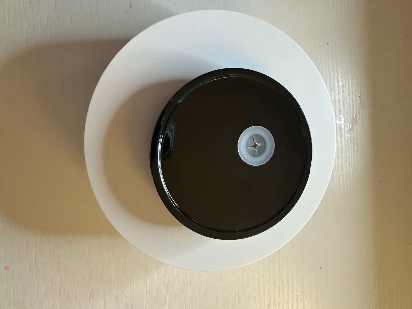 16oz colored jelly lid