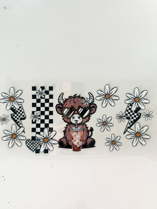 Checkered highland cow