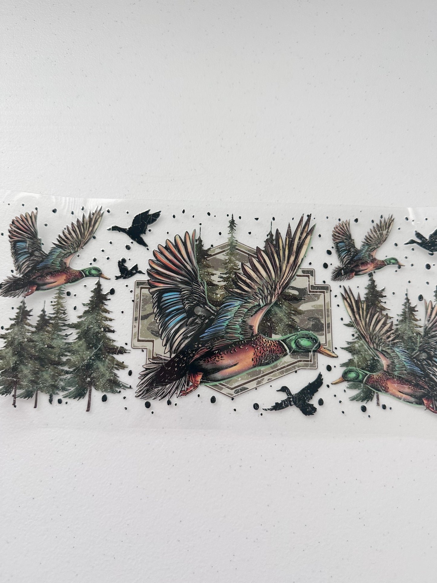 Birds
