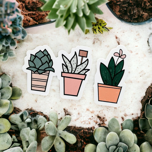 Succulent Sticker